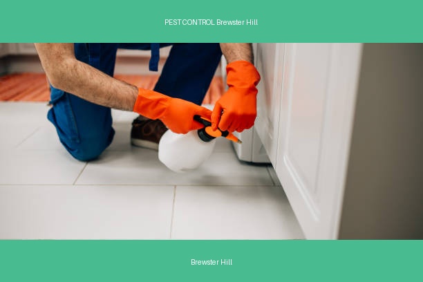 PEST CONTROL Brewster Hill